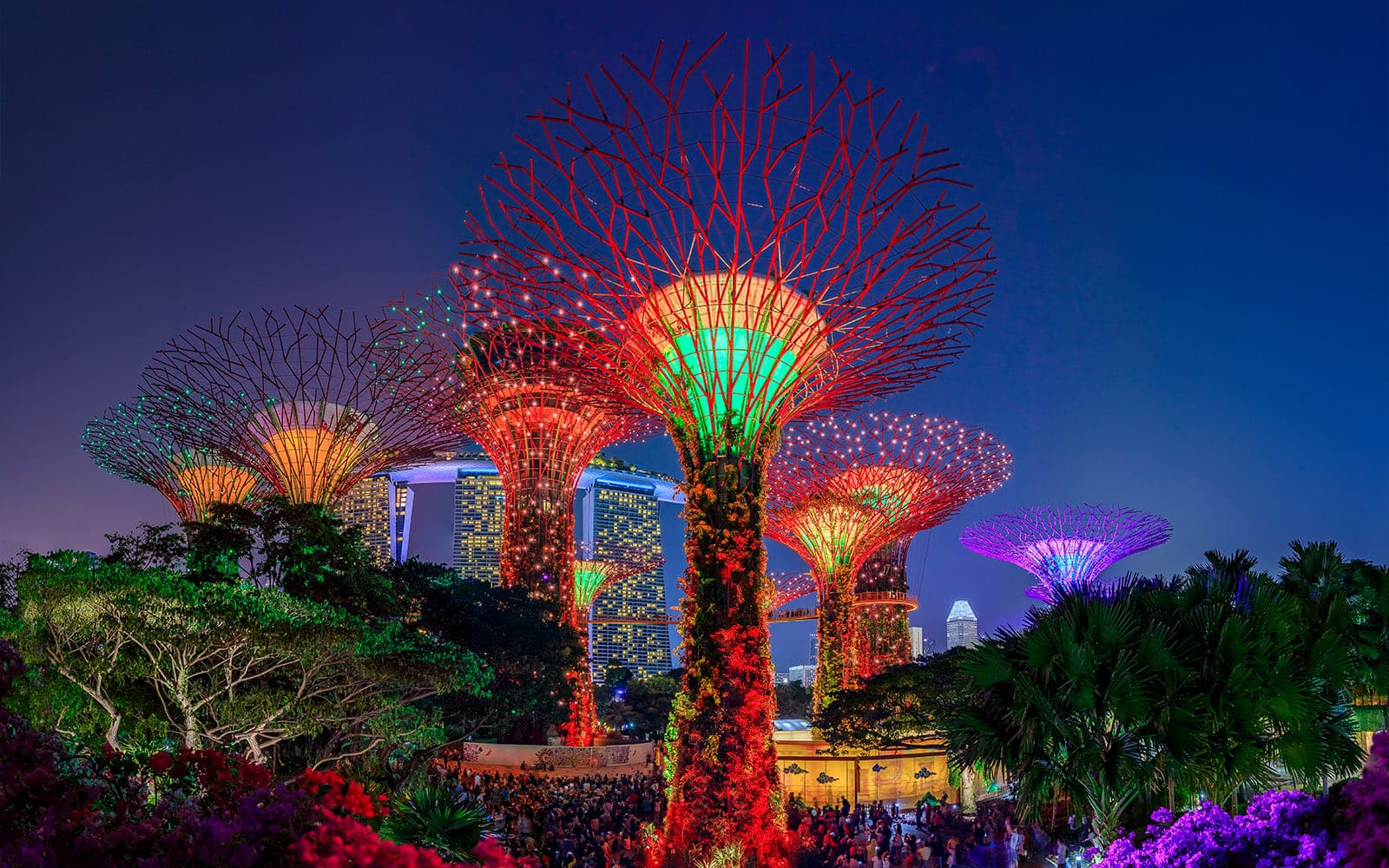 Top Things to Do in Changi Airport Singapore (2025 Travel Guide)